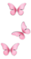 shape